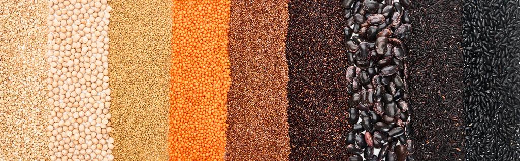 panoramische foto van geassorteerde zwarte bonen, rijst, quinoa, rode linzen, boekweit en kikkererwten - Foto, afbeelding