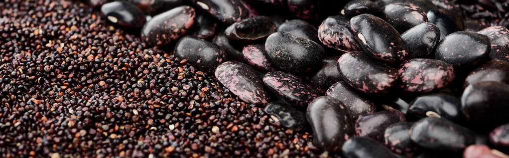 panoramische foto van zwarte quinoa zaden en bonen - Foto, afbeelding