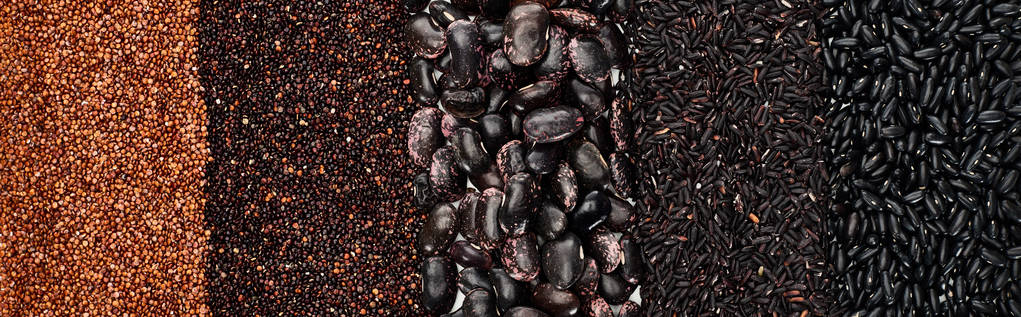 panoramische Aufnahme von verschiedenen schwarzen Bohnen, Reis, Quinoa und geröstetem Buchweizen - Foto, Bild