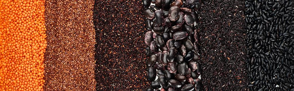 panoramic shot of assorted black beans, rice, quinoa, red lentil and roasted buckwheat - Photo, Image