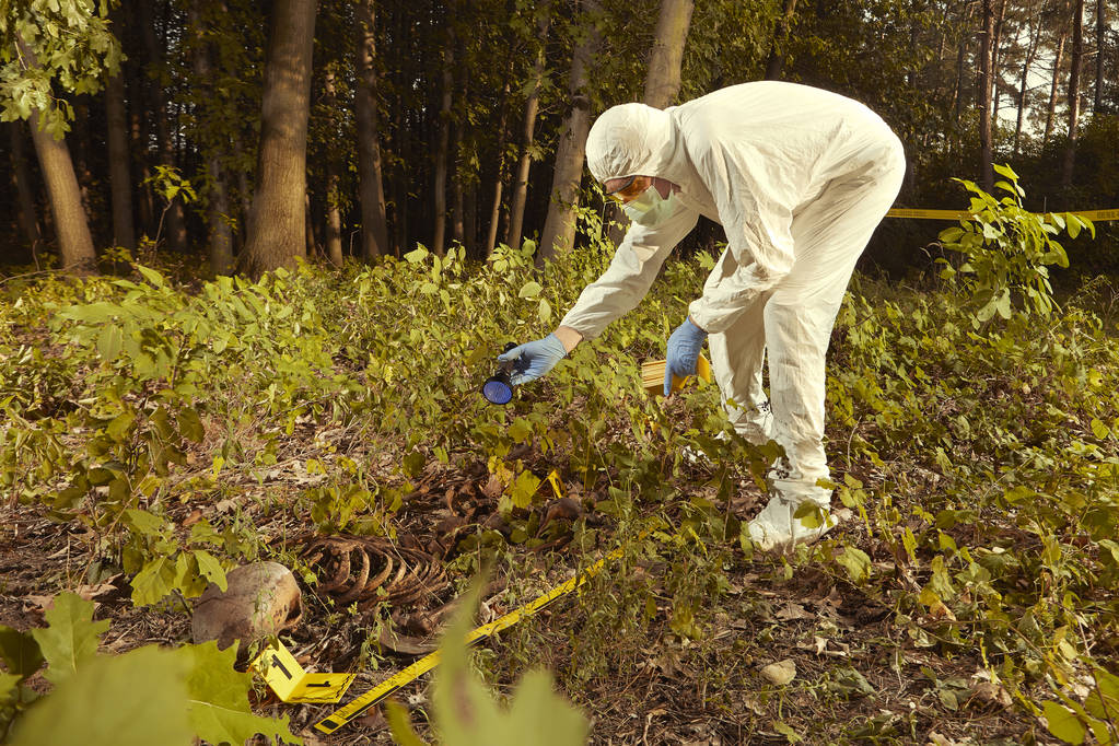 Ormanda bulunan yaşlı insan kalıntıları - polis tarafından iskelet toplama - Fotoğraf, Görsel