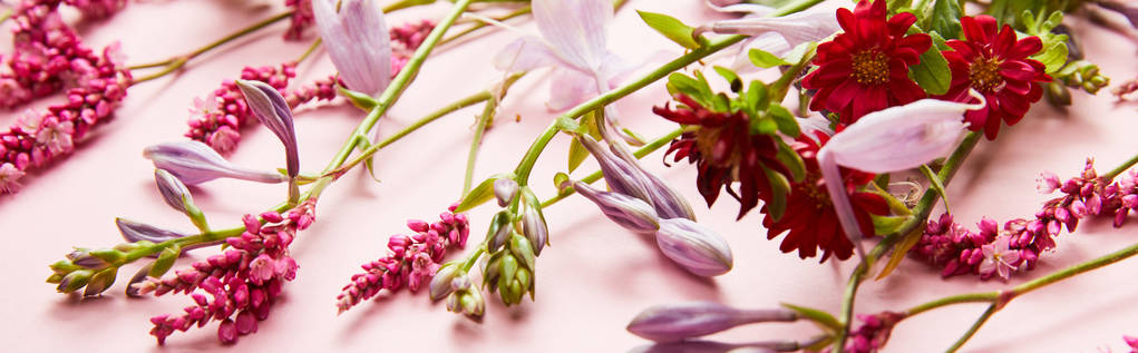 panoramische foto van verse wilde bloemen op roze achtergrond - Foto, afbeelding