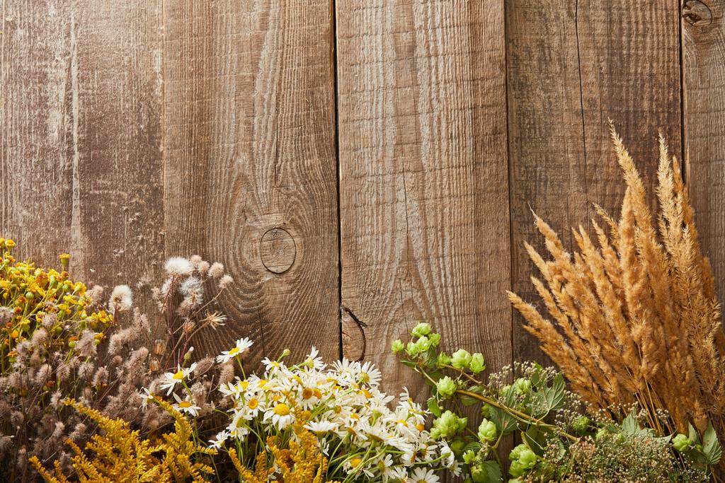 Ansicht von Wildblumen und Kräutern auf Holzoberfläche mit Kopierraum - Foto, Bild