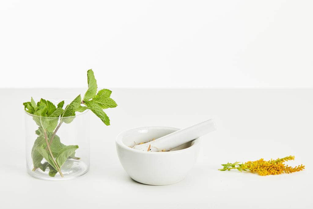 mortar and pestle near goldenrod twig and glass with fresh mint on white background - Photo, Image
