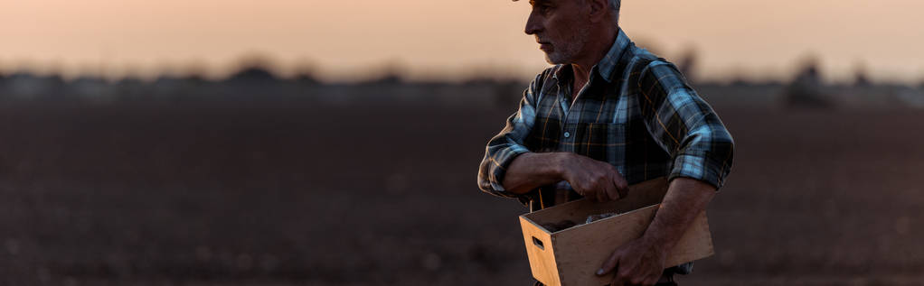панорамный снимок самозанятого фермера, держащего коробку в поле
  - Фото, изображение