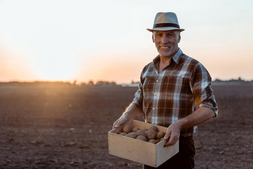 iloinen itsenäinen viljelijä tilalla laatikko luonnonmukaisia perunoita
  - Valokuva, kuva