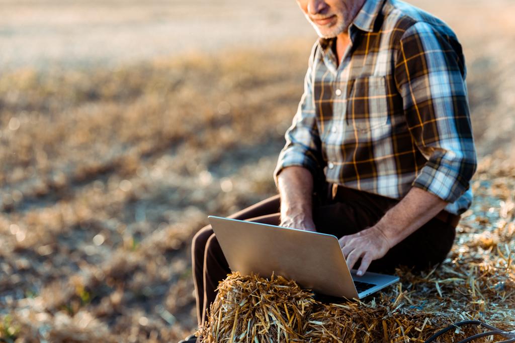 vue recadrée d'agriculteur indépendant heureux tapant sur ordinateur portable tout en étant assis sur la balle de foin
  - Photo, image