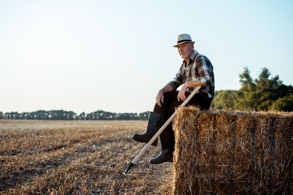 homme barbu gai en chapeau de paille assis sur la balle de foin près du champ de blé
  - Photo, image