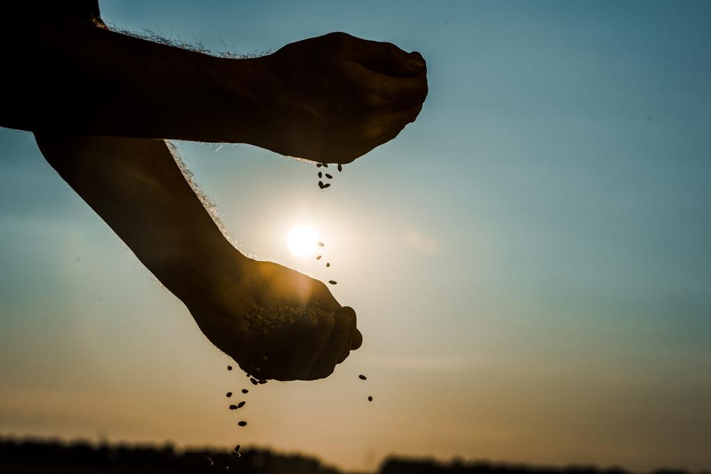 обрезанный взгляд на самозанятого фермера, бросающего семена
 - Фото, изображение