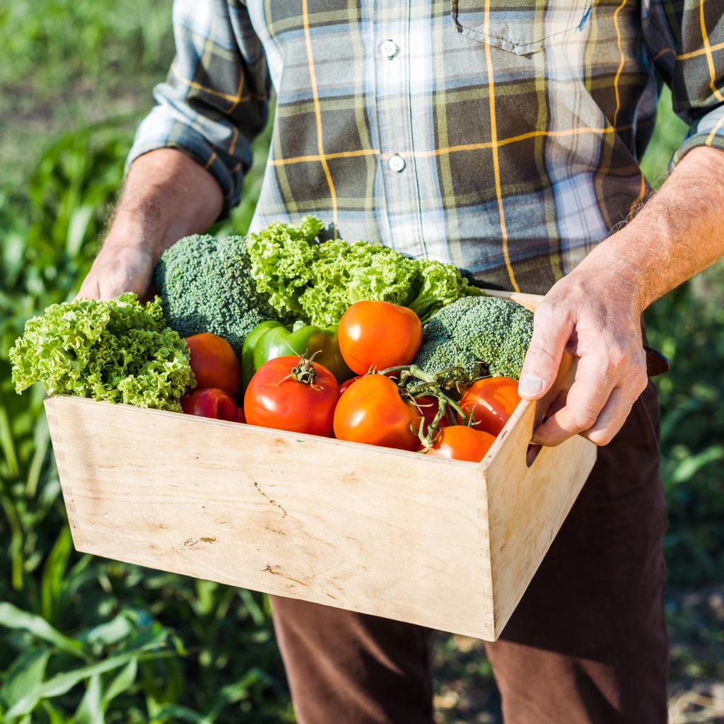sebze ile üst düzey çiftçi tutan kutu kırpılmış görünümü  - Fotoğraf, Görsel