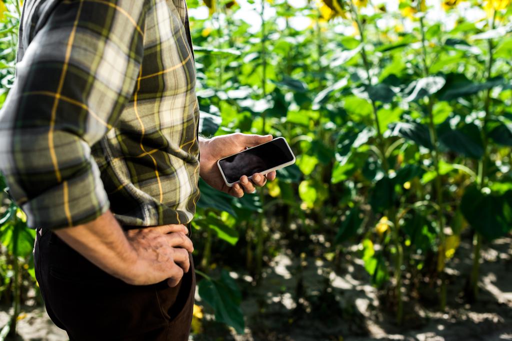 ヒップに手を置いて立ち、空白の画面でスマートフォンを保持している農家のトリミングビュー  - 写真・画像