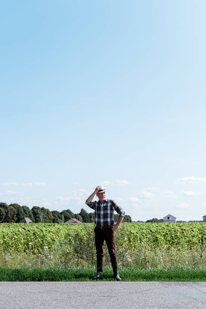 старший фермер касаясь соломенной шляпы и стоя с рукой на бедре в поле
  - Фото, изображение