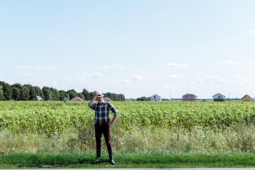 麦わら帽子に触れ、畑で腰に手を当てて立っている先輩自営業農家  - 写真・画像