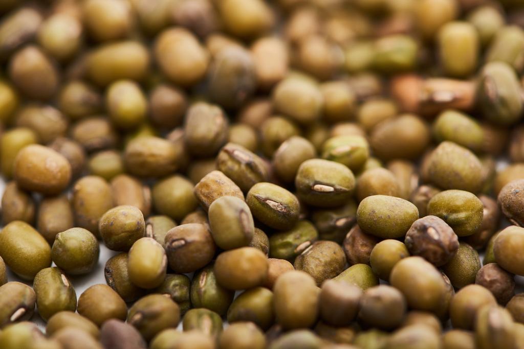 close up view of uncooked green moong beans - Photo, Image