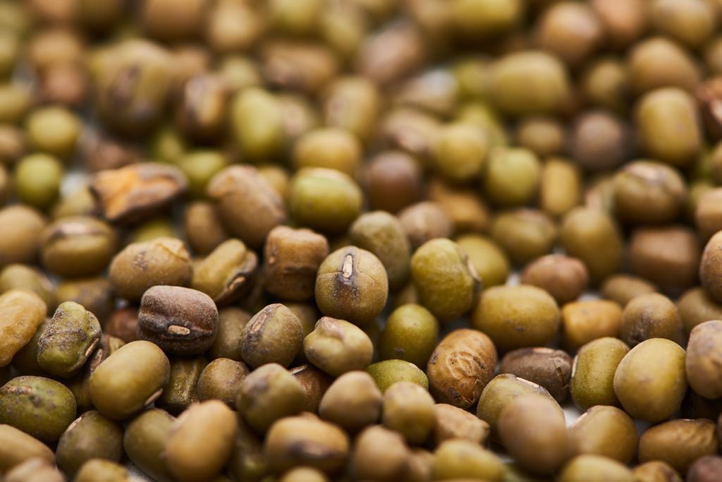 close up view of raw green moong beans - Photo, Image