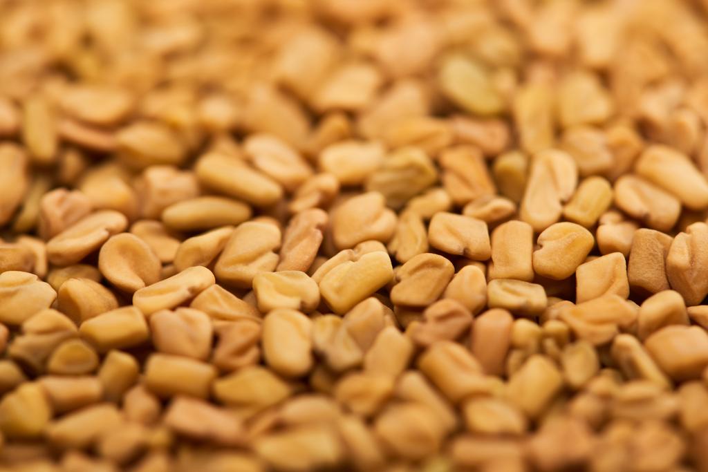 close up view of uncooked bulgur grains - Photo, Image