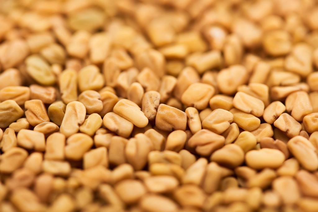 close up view of unprocessed bulgur grains - Photo, Image