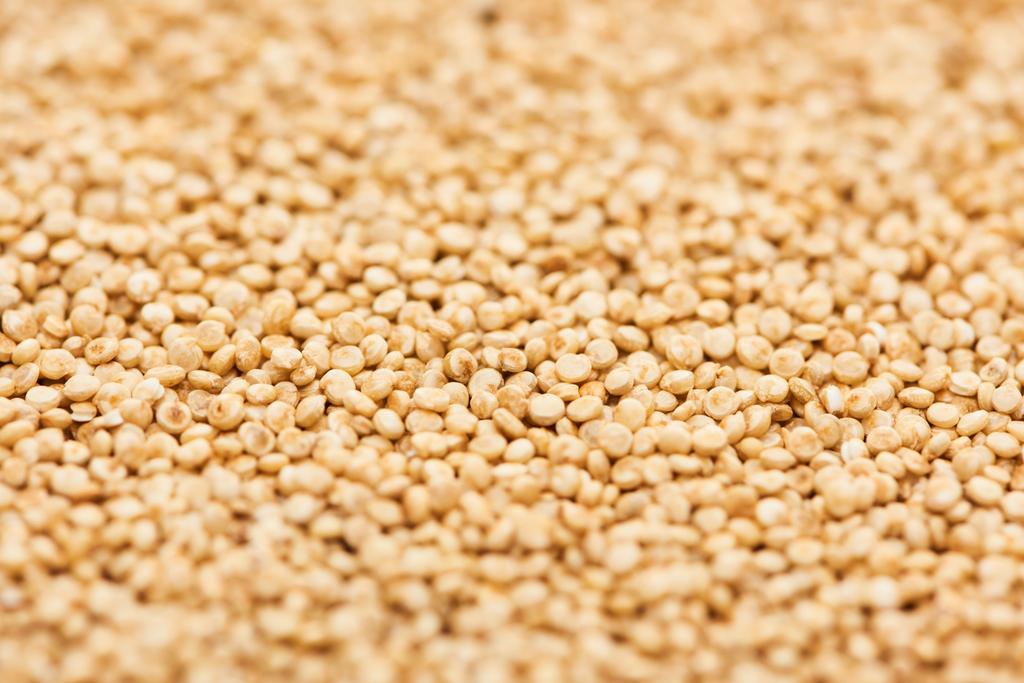 zblízka pohled na organické surové bílé quinoa  - Fotografie, Obrázek