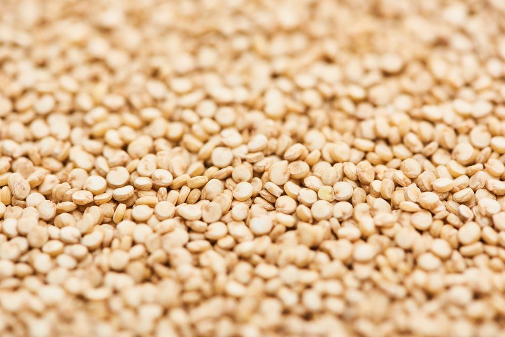 vue rapprochée de petites graines de quinoa blanches
 - Photo, image