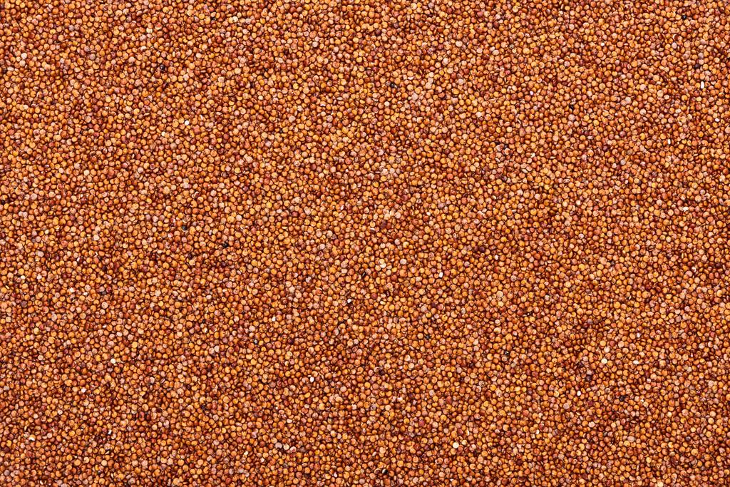 Widok z góry surowego organicznego czerwonego quinoa - Zdjęcie, obraz