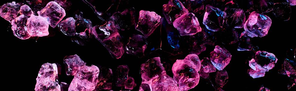 plano panorámico de cubos de hielo transparentes con iluminación púrpura aislada en negro
 - Foto, Imagen