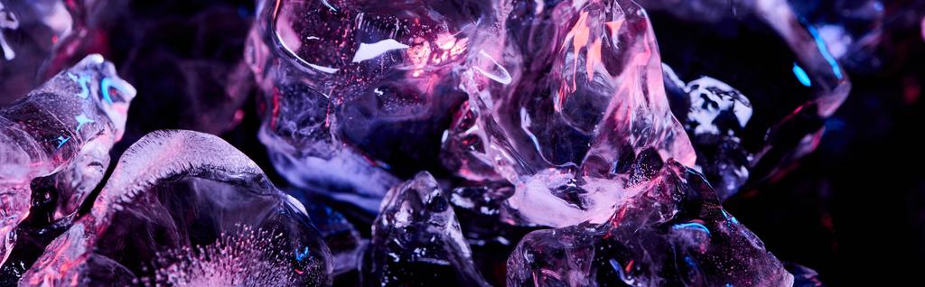 panoramiczny strzał przezroczystych kostek lodu z purpurowym kolorowym oświetleniem na czarno - Zdjęcie, obraz