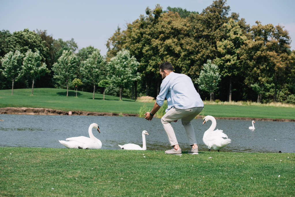 young man standing with outstretched hands near white swans in park - Photo, Image