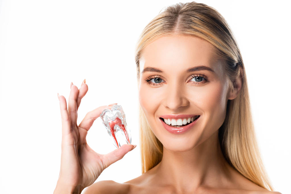 mujer sonriente con dientes blancos sosteniendo modelo de diente aislado en blanco
 - Foto, imagen