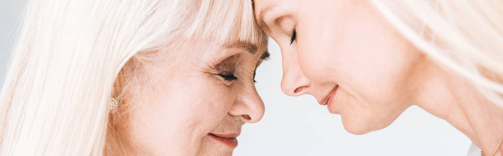 панорамний знімок блондинки зрілої дочки і старшої матері, що стоїть обличчям до обличчя з закритими очима ізольовані на сірому
 - Фото, зображення