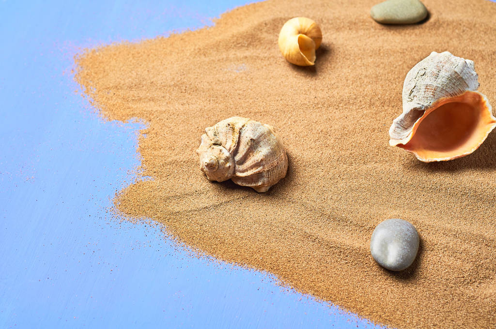 Κοχύλια, πέτρες και διάσπαρτα ξηρά άμμο σε μπλε γδαρμένο σκυρόδεμα. Χώρος για κείμενο - Φωτογραφία, εικόνα