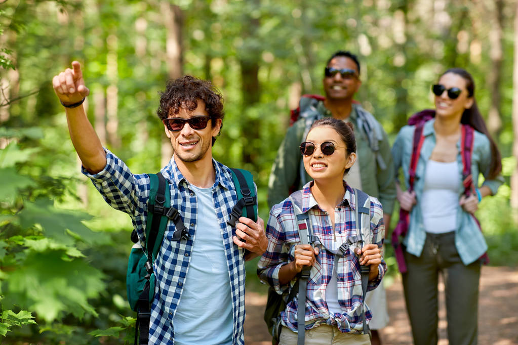 grupo de amigos com mochilas caminhadas na floresta - Foto, Imagem