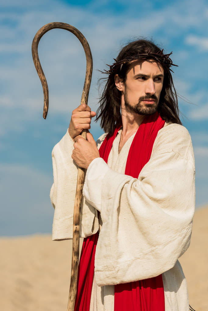 vousatý muž držící v poušti dřevěnou hůl proti modrému nebi  - Fotografie, Obrázek
