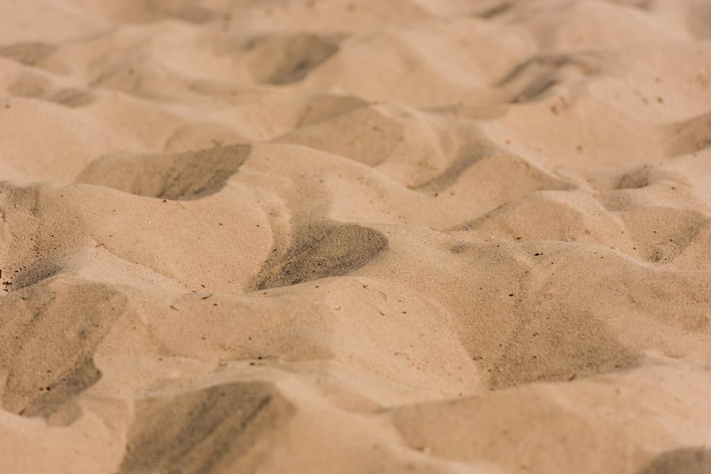 enfoque selectivo de arena ondulada dorada en el desierto
  - Foto, imagen