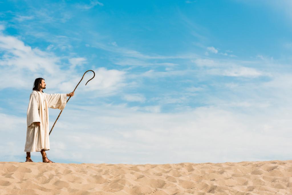 hombre guapo sosteniendo bastón de madera y de pie en el desierto
  - Foto, imagen