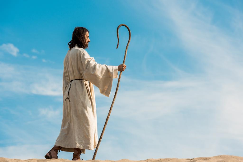 pohledný vousatý muž držící dřevěnou hůl a chůzi v poušti  - Fotografie, Obrázek