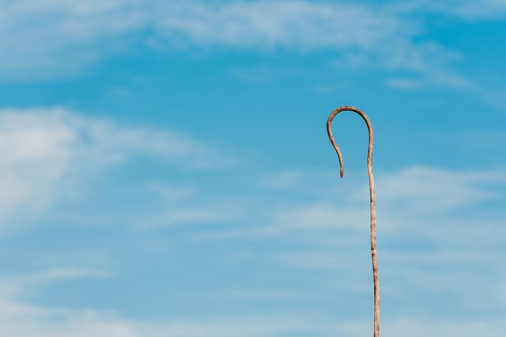wooden cane against blue sky with white clouds and copy space - Photo, Image