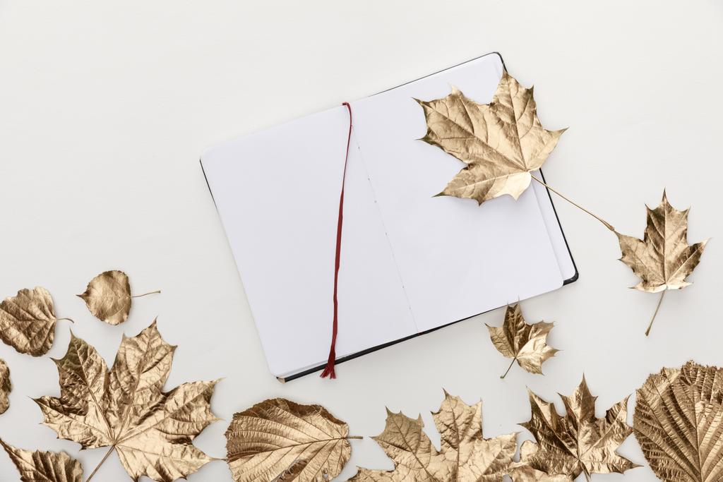 Ansicht der goldenen Blätter in der Nähe des leeren Notizbuchs auf weißem Hintergrund - Foto, Bild
