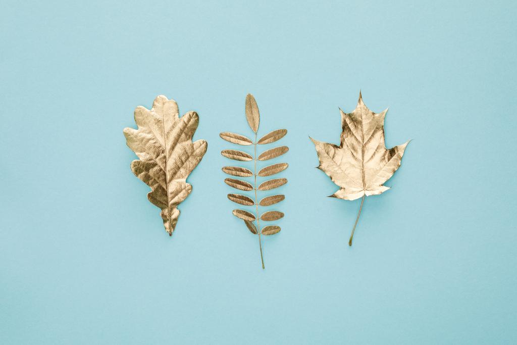 pohled na podzimní zlaté listy na modrém pozadí - Fotografie, Obrázek
