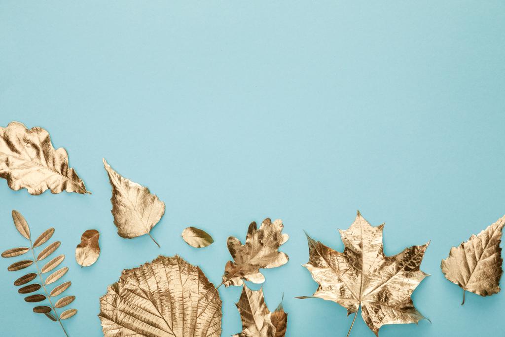 felülnézet a színes őszi arany lombozat kék háttérben - Fotó, kép