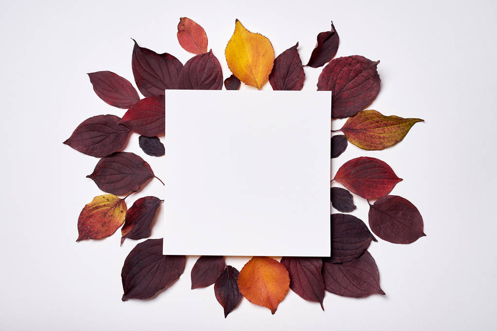 Herbstkomposition. Rahmen aus leerem Papier und Blättern auf weißem Grund - Foto, Bild