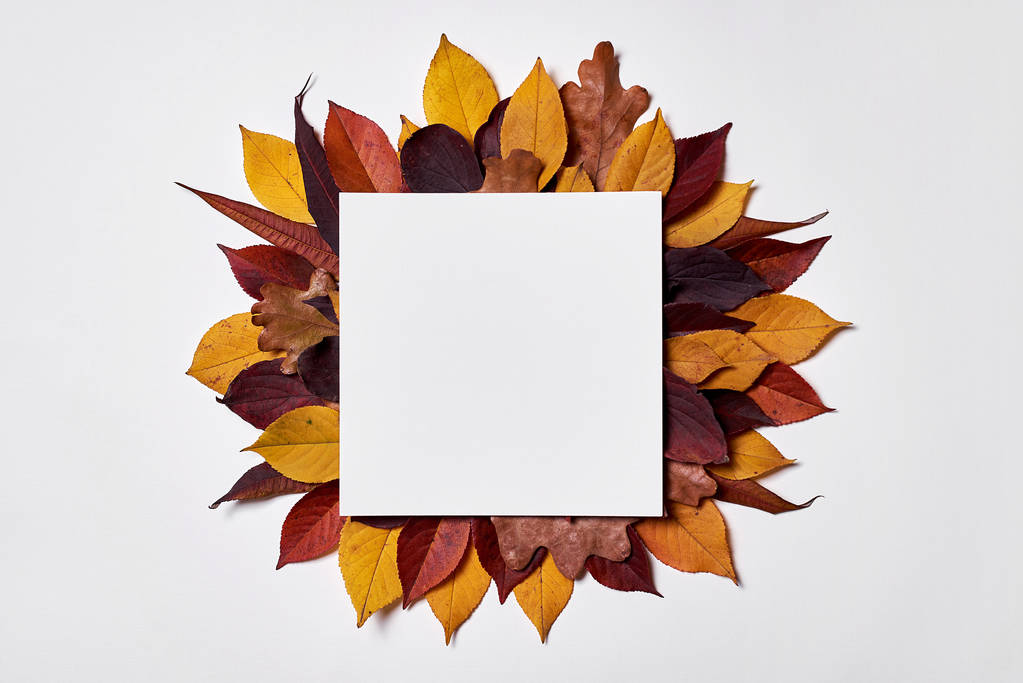 Sonbahar kompozisyonu. Boş kağıttan yapılmış çerçeve, sarı ve kırmızı le - Fotoğraf, Görsel