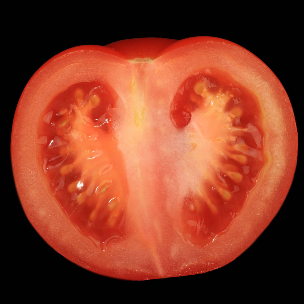 Gros plan de tomate isolé sur fond blanc
  - Photo, image