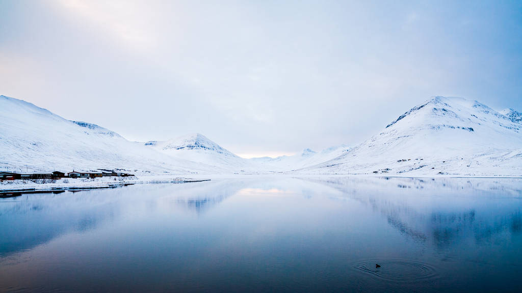 Kylmä järvi Islannin maaseudulla talvella
. - Valokuva, kuva