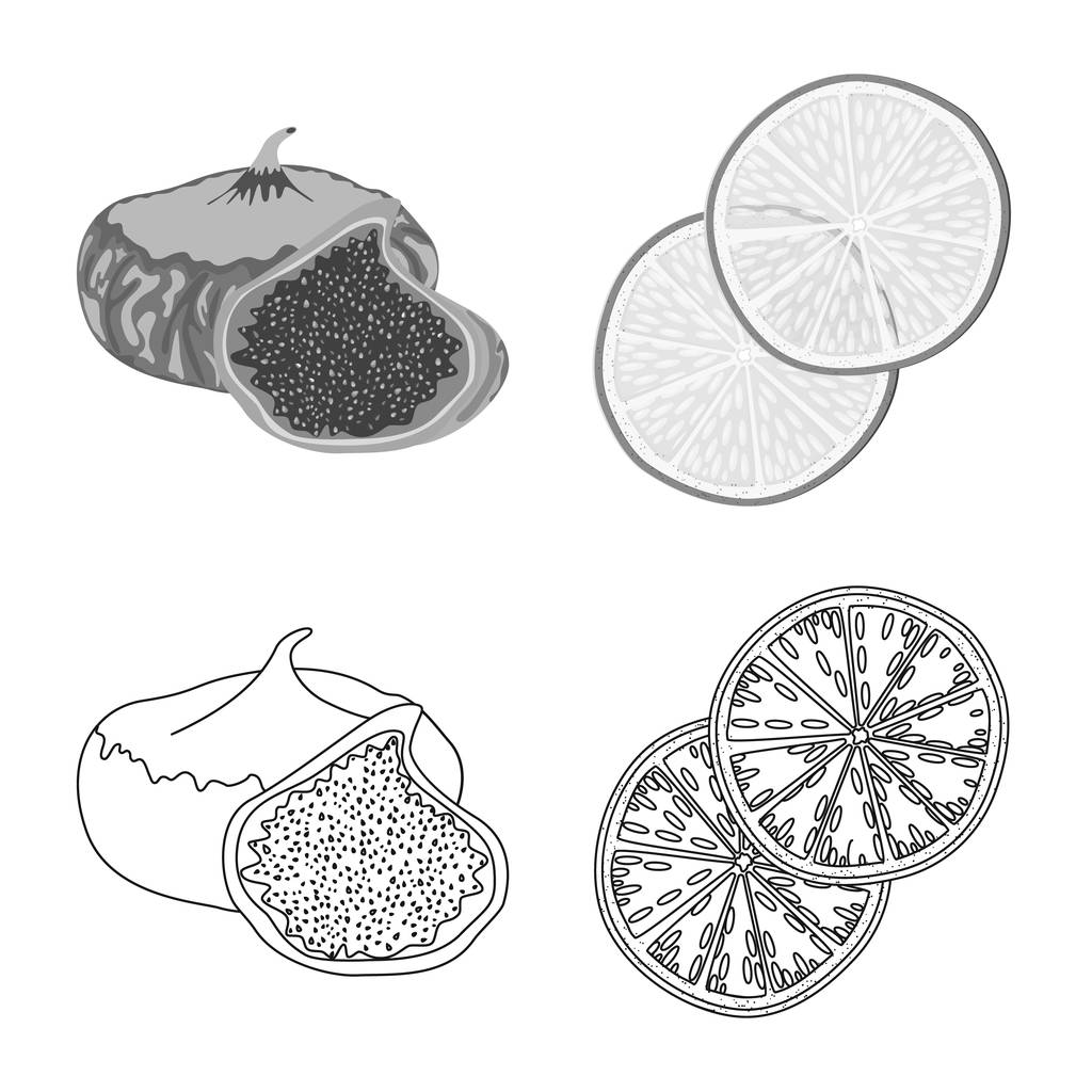 Oggetto isolato di cibo e simbolo grezzo. Serie di illustrazioni vettoriali su cibo e natura
. - Vettoriali, immagini