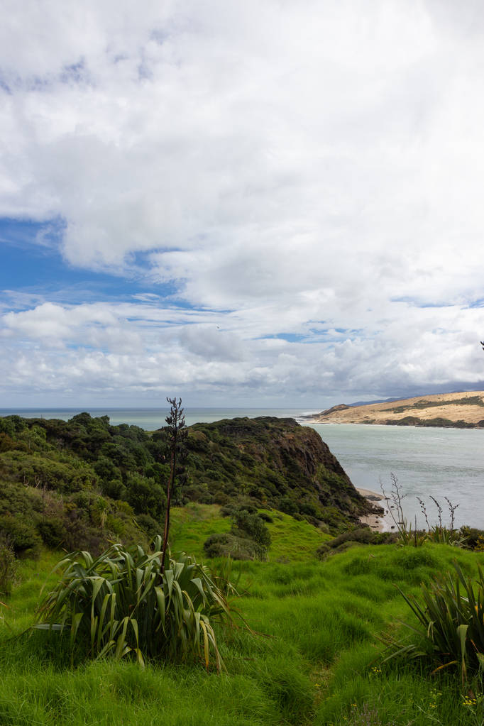 Blick von einem Aussichtspunkt bei Opononi, Neuseeland - Foto, Bild