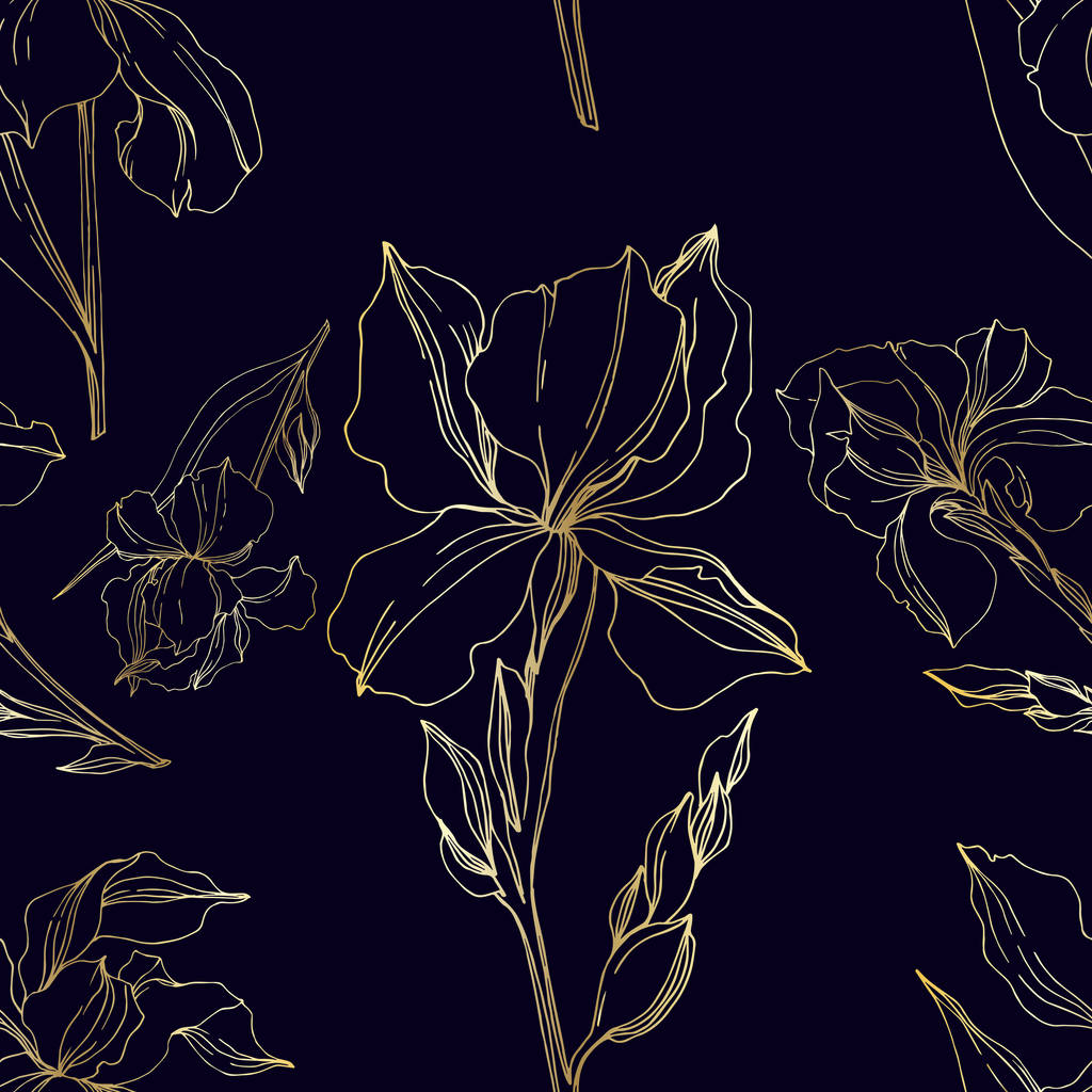 Vektori Iris kukka kasvitieteellinen kukkia. Musta ja valkoinen kaiverrettu muste taidetta. Saumaton taustakuvio
. - Vektori, kuva