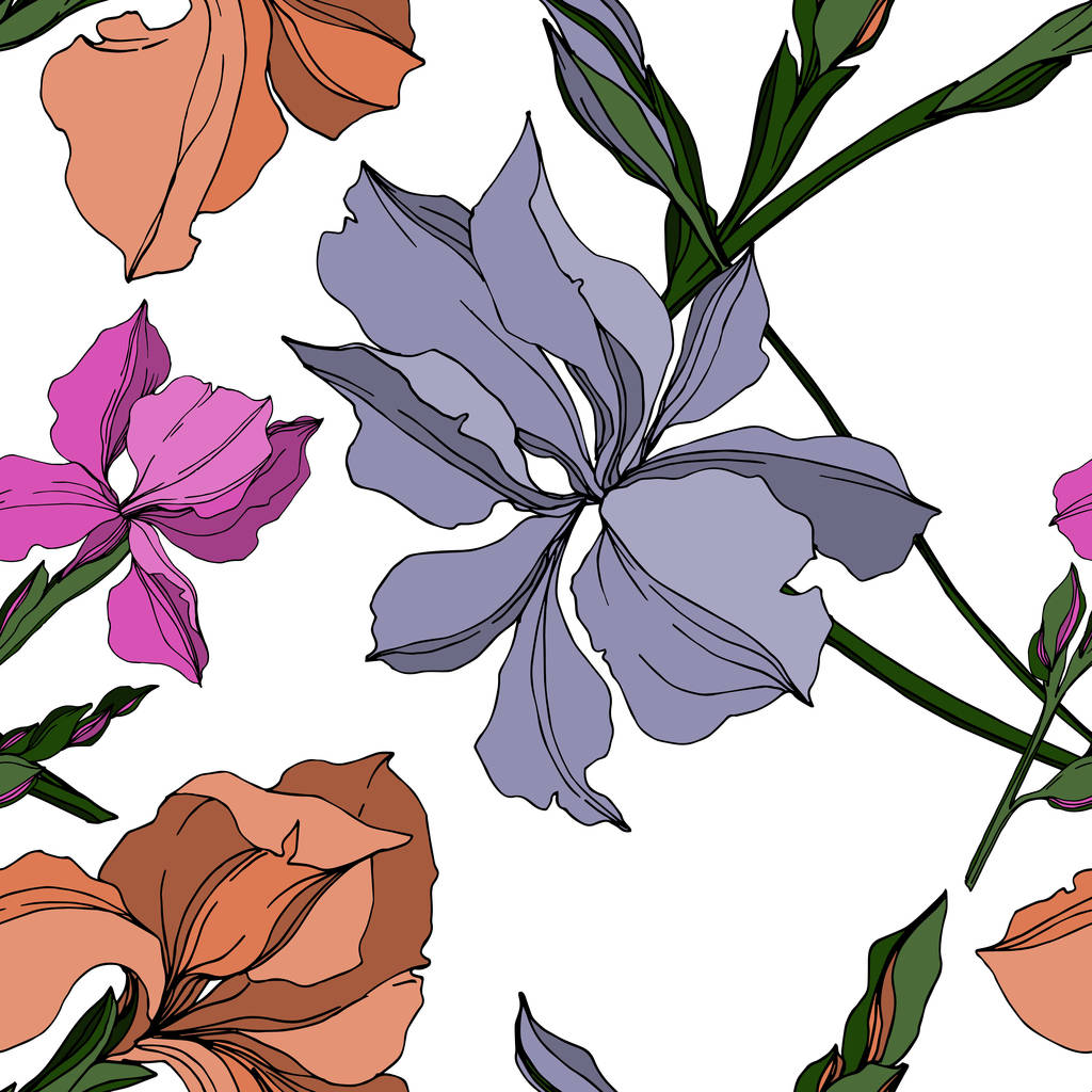 Fiori botanici floreali del vettore Iris. Inchiostro inciso in bianco e nero art. Modello di sfondo senza soluzione di continuità
. - Vettoriali, immagini