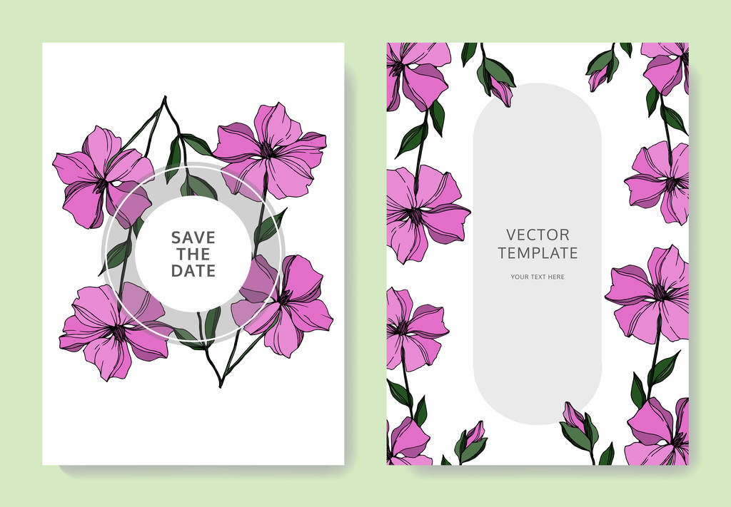 Vector Flax flores botânicas florais. Tinta gravada a preto e branco. Casamento cartão de fundo borda decorativa
. - Vetor, Imagem