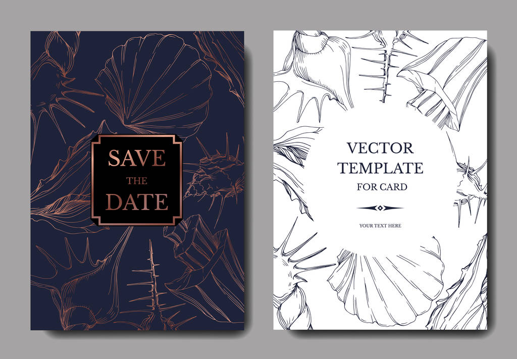 Vector Summer beach seashell tropical elements. Engraved ink art. Wedding background card decorative border. - Vector, Image