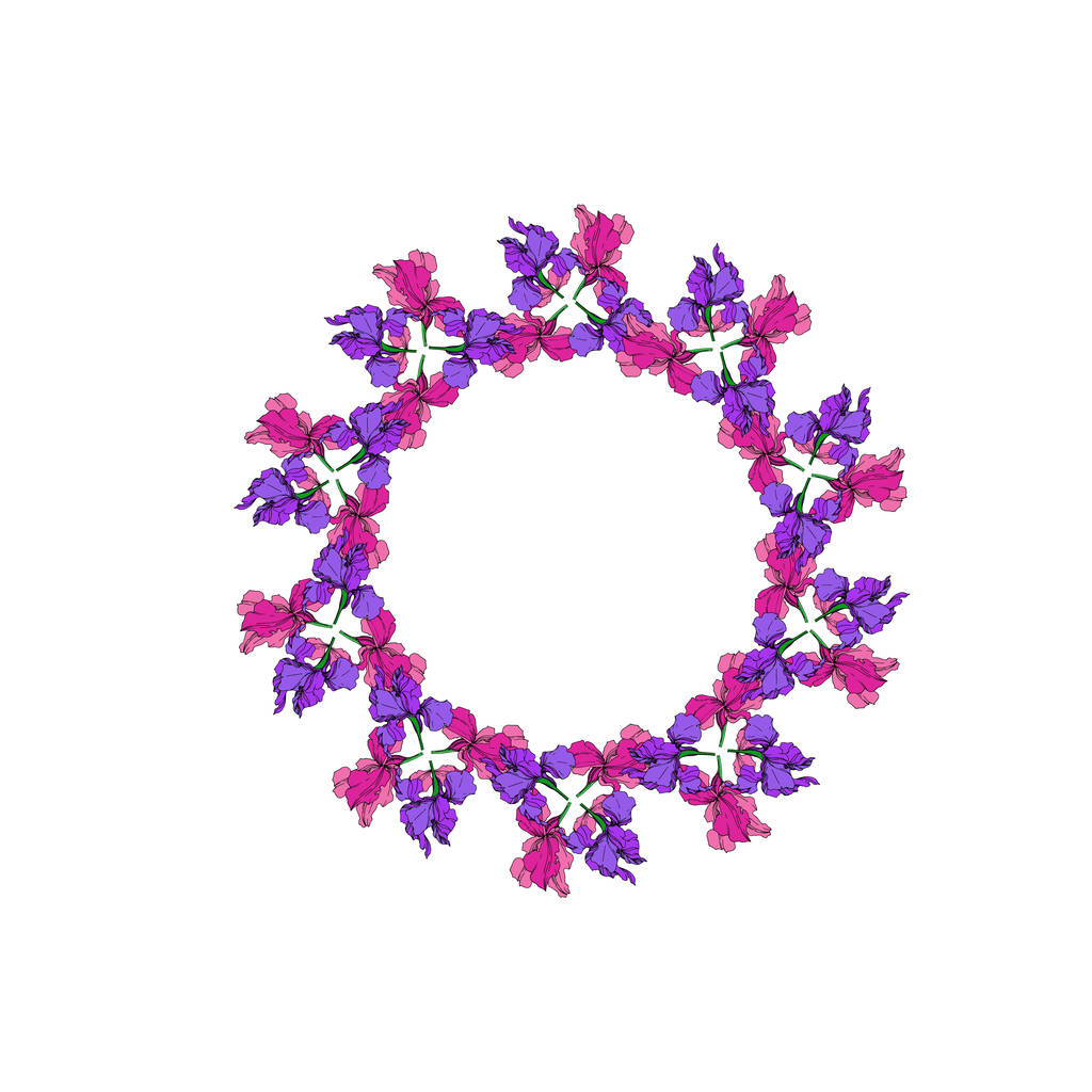 Vektor-Iris florale botanische Blumen. Schwarz-weiß gestochene Tuschekunst. Rahmen Rand Ornament Quadrat. - Vektor, Bild